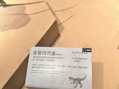 -自贡恐龙博物馆