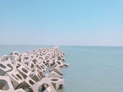 -东疆建设开发纪念公园