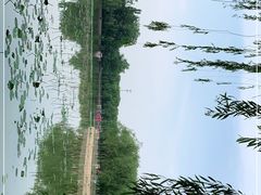 -廊坊市自然公园