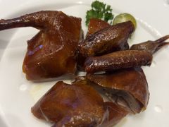-东方御宴海鲜酒楼(棕泉酒店)
