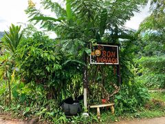 -清迈丛林飞跃 JungleFlight