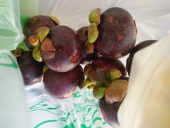 -三亚新鸿港水果一级批发市场
