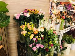 景观位-随心小姐