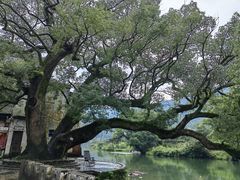 -上坦村