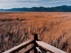 -野鸭湖国家湿地公园