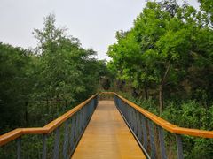 -东郊湿地公园