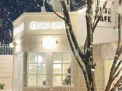 -Blue Concept Cafe&Farm·關於藍