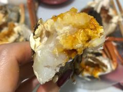 -黄记大闸蟹专卖店·活蟹·醉蟹