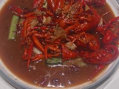 -杨氏青龙虾·羊蝎子(托乐嘉店)