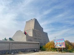 -金塔沙漠胡杨林景区