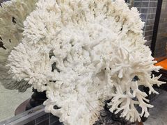 -游龙石文化科普馆