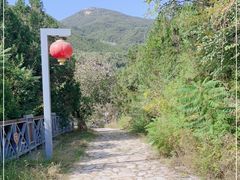 -八奇洞景区