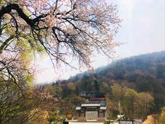 -少华山国家森林公园