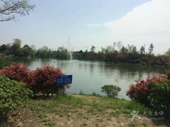 -桃花岛景观公园