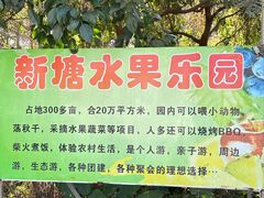 -新塘水果乐园(东洲大道店)