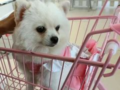 -怪兽屋·羊驼·猫咖·狗咖(俊华广场店)