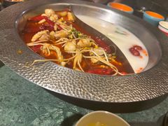-麻田会 ·鲜活现烹·牛蛙火锅(珠江新城维家思广场店)