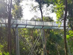 -七仙岭温泉国家森林公园