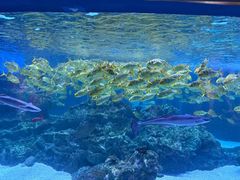 -海合安成都极地海洋公园