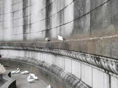 -音乐台