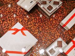 -BLACKSWAN黑天鹅(环球店)