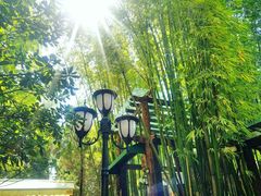 -新竹里馆·花园餐厅(兴苑路店)