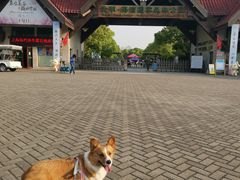 -上海海湾国家森林公园