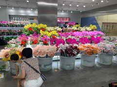 -盒马X会员店(王府井奥莱UP TOWN店)