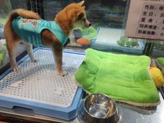 -宠物世家(仲盛世界商城店)