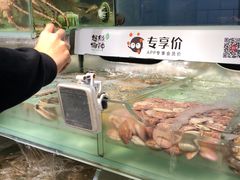 -超级物种(省府店)