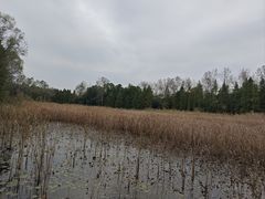 -溱湖国家湿地公园