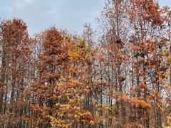 -厦门园林博览苑