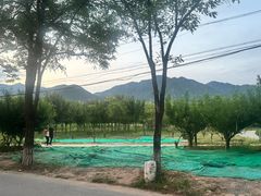 -晓院餐厅