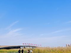 -西安浐灞国家湿地公园
