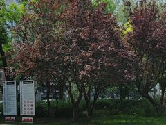 -元大都城垣遗址公园