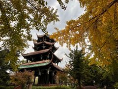 -望江楼公园