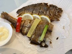-骏莱海鲜鱼港(五角场店)
