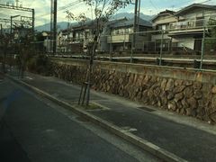 -神户市立六甲山牧场