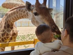 -西霞口神雕山野生动物世界