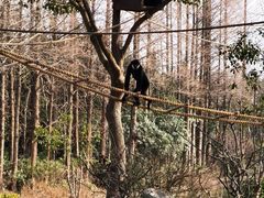 -上海野生动物园