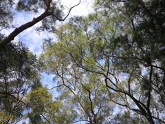 -大埔公路-马料水段香港中文大学(公交站)