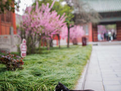 -西安碑林博物馆