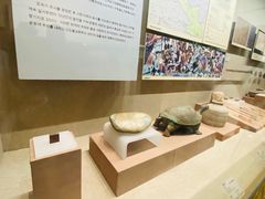 -敦煌市博物馆