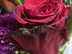 -Butchart布查德鲜花(花艺设计中心)
