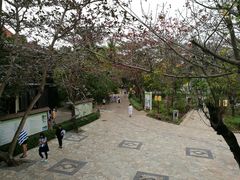 -三亚珠江南田温泉度假区