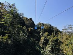 -野象谷景区
