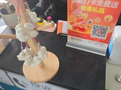-顺强宠物诊所·狂犬免疫·夜诊·骨科(嘉定店)