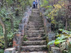 -云岫谷游猎自然风景区