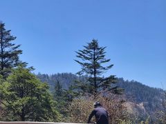 -成都市第一人民医院(南区)