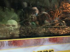 -宁波野生动物园